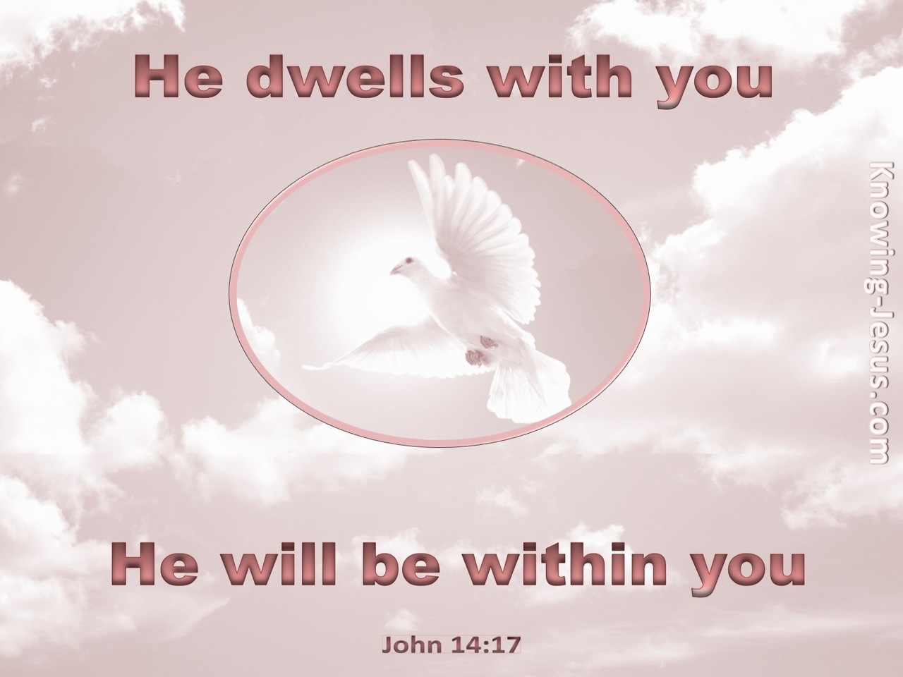 John 14:17 He Will Be In You (pink)